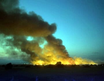 Estabilitzat l’incendi de vegetació agrícola i forestal de Guimerà, a l’Urgell