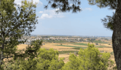 Tàrrega mirarà el cel des de Sant Eloi
