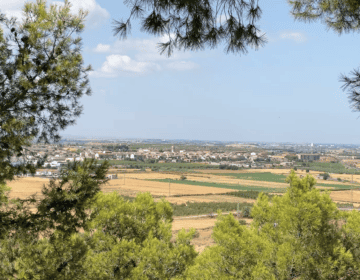 Tàrrega mirarà el cel des de Sant Eloi