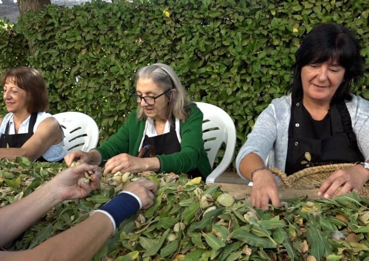 Vilagrassa celebra la 22a Fira de l’Ametlla amb homenatges, gastronomia i la tradicional pujada de sacs al campanar