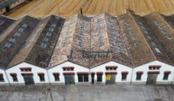 El Museu Trepat de Tàrrega reprèn les visites guiades després&hellip;